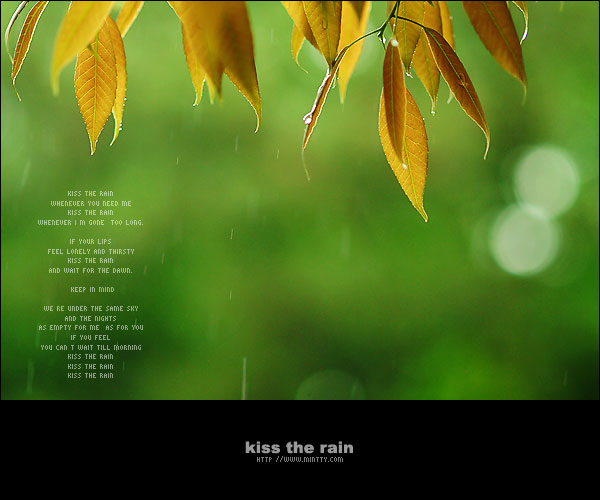 [天籁纯音钢琴曲]《kiss the rain-雨的印记》经典