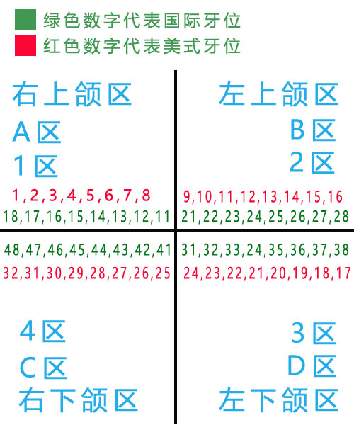 国际国内标准牙位记位方法大全